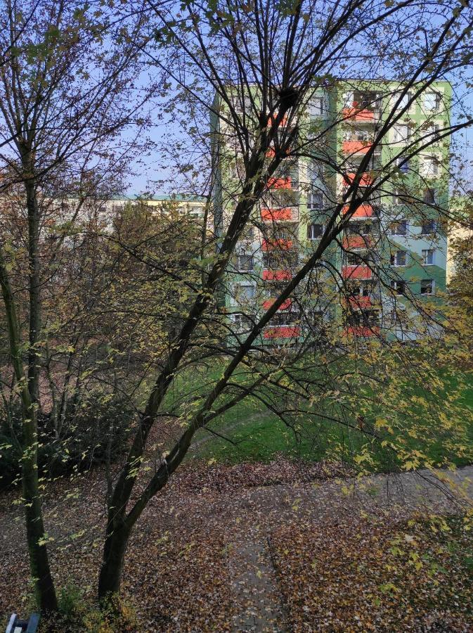 Appartement Stiborka à Olomouc Extérieur photo